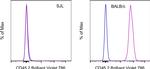 CD45.2 Antibody in Flow Cytometry (Flow)