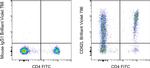 CD62L (L-Selectin) Antibody in Flow Cytometry (Flow)