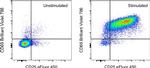 CD69 Antibody in Flow Cytometry (Flow)