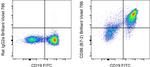 CD86 (B7-2) Antibody in Flow Cytometry (Flow)