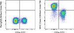 MHC Class II (I-A/I-E) Antibody in Flow Cytometry (Flow)