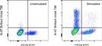 Ki-67 Antibody in Flow Cytometry (Flow)