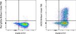 iNOS Antibody in Flow Cytometry (Flow)