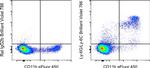 Ly-6G/Ly-6C Antibody in Flow Cytometry (Flow)