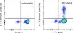 IL-17A Antibody in Flow Cytometry (Flow)