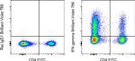 IFN gamma Antibody in Flow Cytometry (Flow)