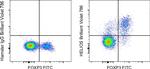 HELIOS Antibody in Flow Cytometry (Flow)