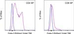 Gata-3 Antibody in Flow Cytometry (Flow)