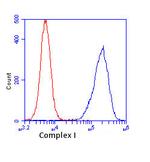 Complex I Antibody in Flow Cytometry (Flow)