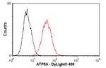 ATP5A1 Antibody in Flow Cytometry (Flow)