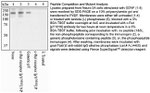 Phospho-RET (Tyr1016) Antibody in Western Blot (WB)