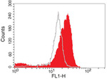 Phospho-AKT1 (Thr308) Antibody in Flow Cytometry (Flow)