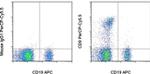 CD8a Antibody in Flow Cytometry (Flow)