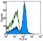 CD16/CD32 Antibody in Flow Cytometry (Flow)