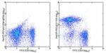 CD19 Antibody in Flow Cytometry (Flow)