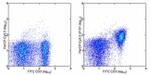 CD28 Antibody in Flow Cytometry (Flow)