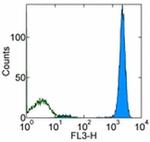 CD45 Antibody in Flow Cytometry (Flow)