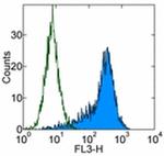 CD90 (Thy-1) Antibody in Flow Cytometry (Flow)