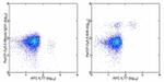 CD123 Antibody in Flow Cytometry (Flow)