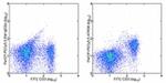 CD127 Antibody in Flow Cytometry (Flow)