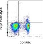 FOXP3 Antibody in Flow Cytometry (Flow)