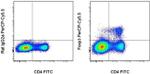 FOXP3 Antibody in Flow Cytometry (Flow)