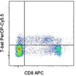 T-bet Antibody in Flow Cytometry (Flow)