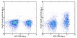 IL-2 Antibody in Flow Cytometry (Flow)