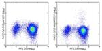 IL-17A Antibody in Flow Cytometry (Flow)