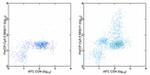 TNF alpha Antibody in Flow Cytometry (Flow)