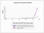 Human/Mouse/Rat BDNF Protein in Functional Assay (Functional)