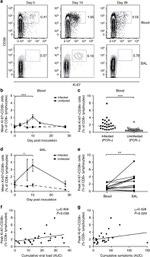 CD8a Antibody in Flow Cytometry (Flow)