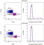 IFN gamma Antibody