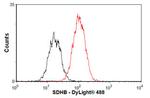 SDHB Antibody in Flow Cytometry (Flow)