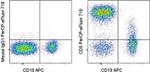 CD5 Antibody in Flow Cytometry (Flow)