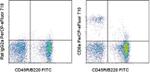 CD8a Antibody in Flow Cytometry (Flow)