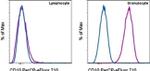 CD10 Antibody in Flow Cytometry (Flow)