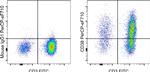 CD38 Antibody in Flow Cytometry (Flow)