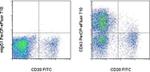 CD43 Antibody in Flow Cytometry (Flow)