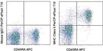 MHC Class II Antibody in Flow Cytometry (Flow)