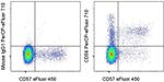 CD56 (NCAM) Antibody in Flow Cytometry (Flow)