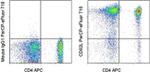 CD62L (L-Selectin) Antibody in Flow Cytometry (Flow)