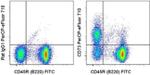 CD73 Antibody in Flow Cytometry (Flow)