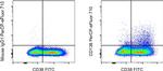 CD138 (Syndecan-1) Antibody in Flow Cytometry (Flow)