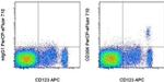 CD304 (Neuropilin-1) Antibody in Flow Cytometry (Flow)