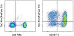 CD366 (TIM3) Antibody in Flow Cytometry (Flow)