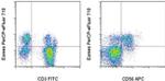 EOMES Antibody in Flow Cytometry (Flow)