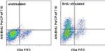 BrdU Antibody in Flow Cytometry (Flow)