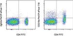 CD218a (IL-18Ra) Antibody in Flow Cytometry (Flow)