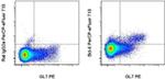 BCL6 Antibody in Flow Cytometry (Flow)